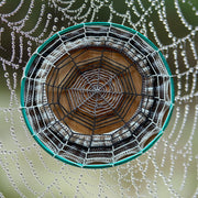 Spooky Spiderweb Hoop Huggie (Large)