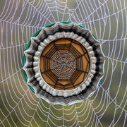 Spooky Spiderweb Hoop Huggie (Large)