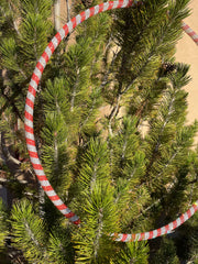 Peppermint Playtime 27" Rhinestone Hula Hoop